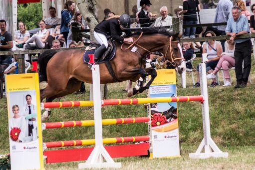 20150628_Springreiten-Boesingfeld_0031.jpg