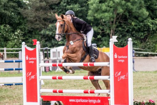 20150628_Springreiten-Boesingfeld_0161.jpg