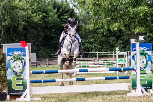 20150628_Springreiten-Boesingfeld_0206.jpg
