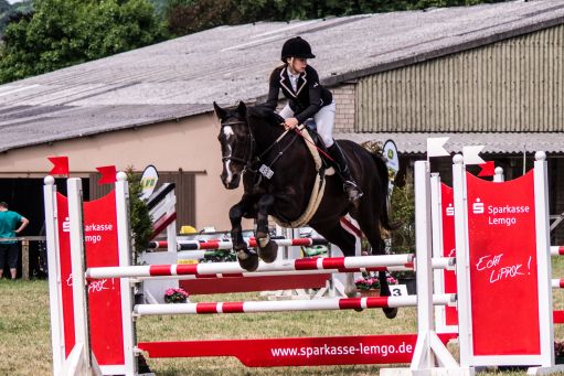 20150628_Springreiten-Boesingfeld_0214.jpg