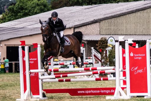 20150628_Springreiten-Boesingfeld_0265.jpg