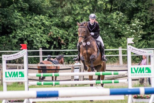 20150628_Springreiten-Boesingfeld_0281.jpg