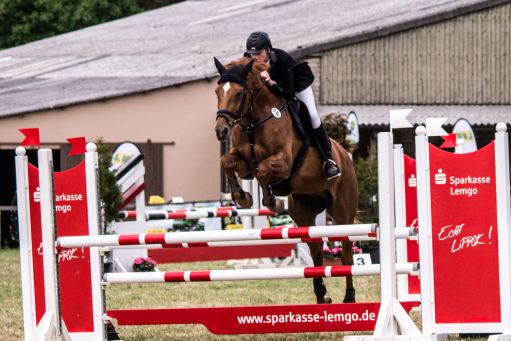 20150628_Springreiten-Boesingfeld_0297.jpg