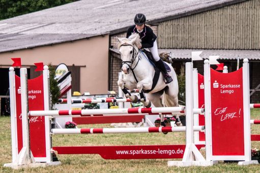 20150628_Springreiten-Boesingfeld_0318.jpg