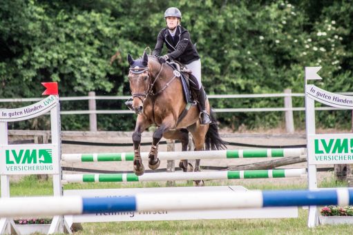 20150628_Springreiten-Boesingfeld_0329.jpg