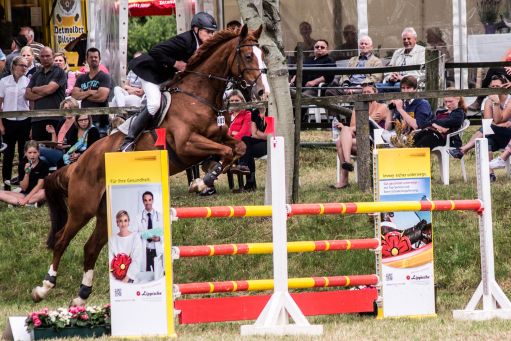 20150628_Springreiten-Boesingfeld_0024.jpg