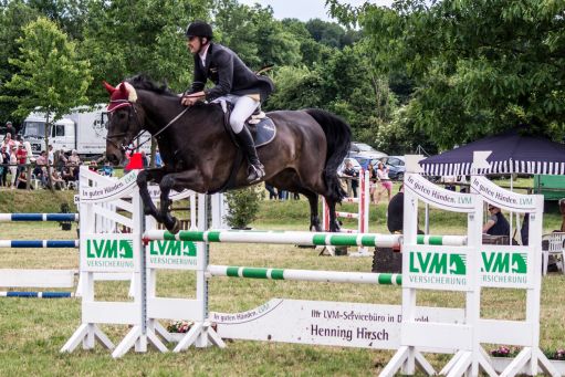 20150628_Springreiten-Boesingfeld_0095.jpg