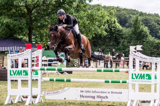 20150628_Springreiten-Boesingfeld_0113.jpg