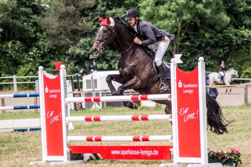 20150628_Springreiten-Boesingfeld_0165.jpg