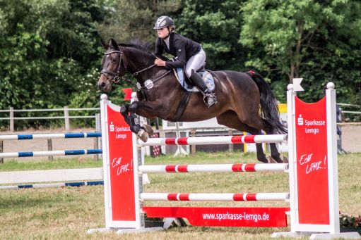 20150628_Springreiten-Boesingfeld_0166.jpg