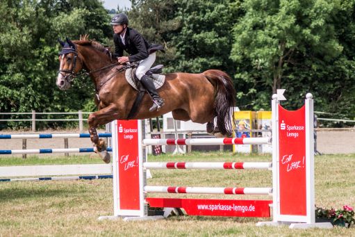20150628_Springreiten-Boesingfeld_0174.jpg