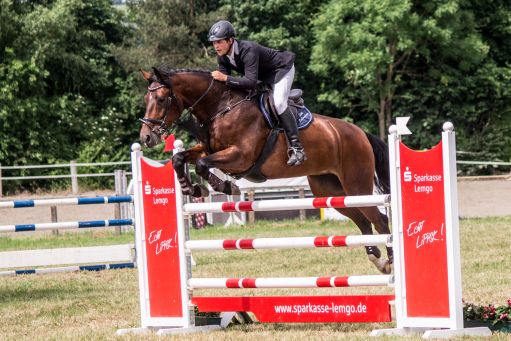 20150628_Springreiten-Boesingfeld_0179.jpg