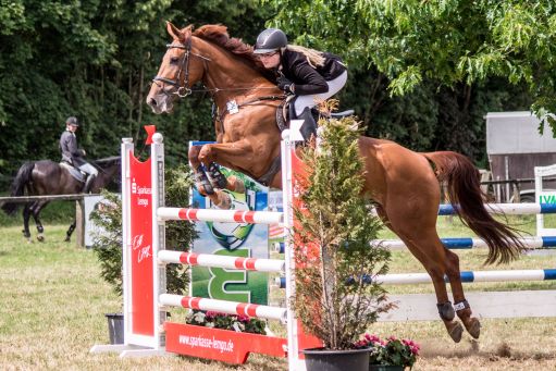 20150628_Springreiten-Boesingfeld_0196.jpg
