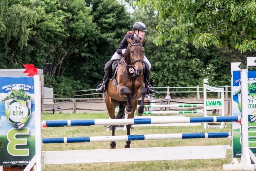 20150628_Springreiten-Boesingfeld_0284.jpg