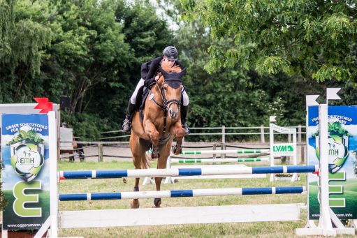 20150628_Springreiten-Boesingfeld_0305.jpg
