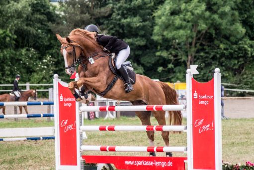 20150628_Springreiten-Boesingfeld_0159.jpg