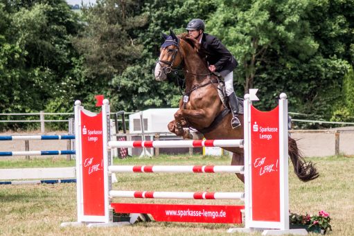 20150628_Springreiten-Boesingfeld_0173.jpg
