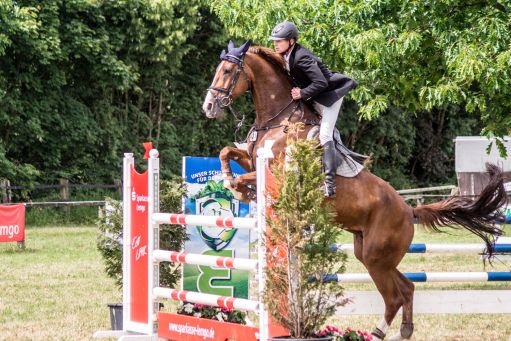 20150628_Springreiten-Boesingfeld_0175.jpg