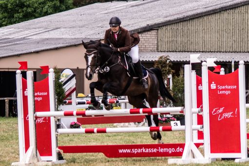 20150628_Springreiten-Boesingfeld_0309.jpg