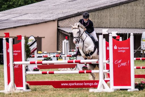 20150628_Springreiten-Boesingfeld_0317.jpg