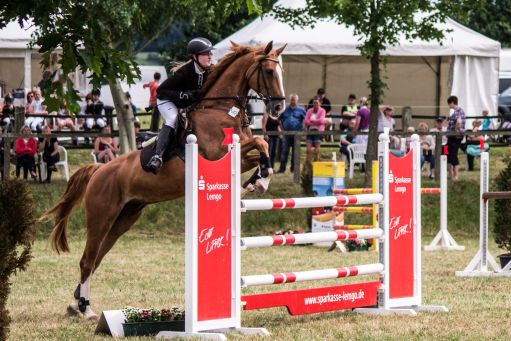 20150628_Springreiten-Boesingfeld_0078.jpg
