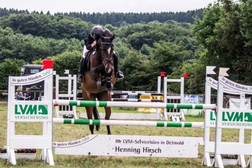 20150628_Springreiten-Boesingfeld_0108.jpg