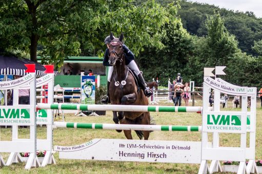 20150628_Springreiten-Boesingfeld_0120.jpg