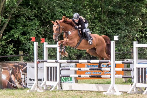 20150628_Springreiten-Boesingfeld_0185.jpg