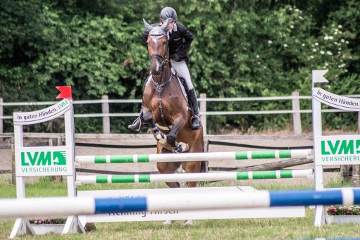 20150628_Springreiten-Boesingfeld_0268.jpg