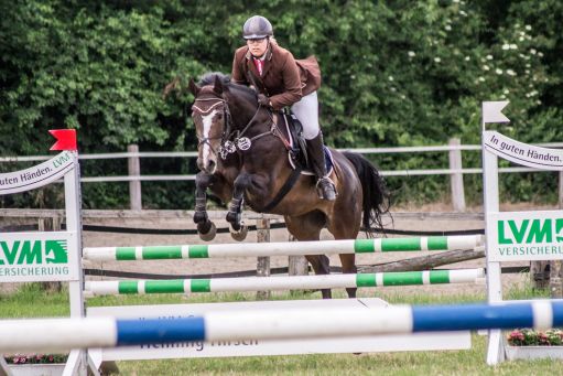 20150628_Springreiten-Boesingfeld_0312.jpg