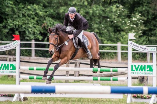 20150628_Springreiten-Boesingfeld_0338.jpg