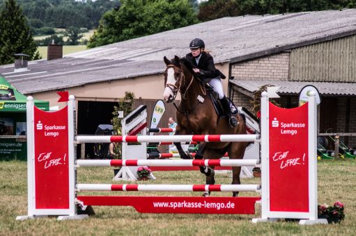 20150628_Springreiten-Boesingfeld_0028.jpg