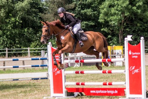 20150628_Springreiten-Boesingfeld_0192.jpg
